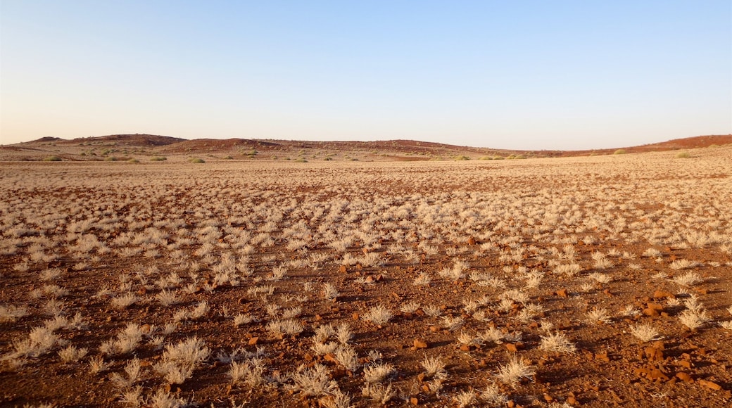 Palmwag que inclui paisagem, cenas tranquilas e paisagens do deserto