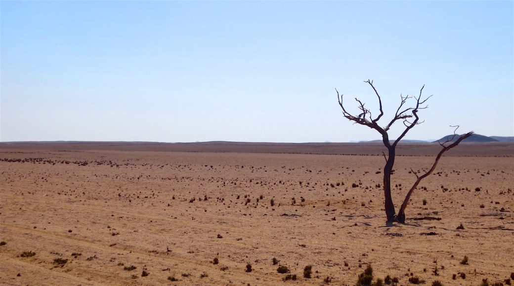 Namibië toont vredige uitzichten en woestijnen