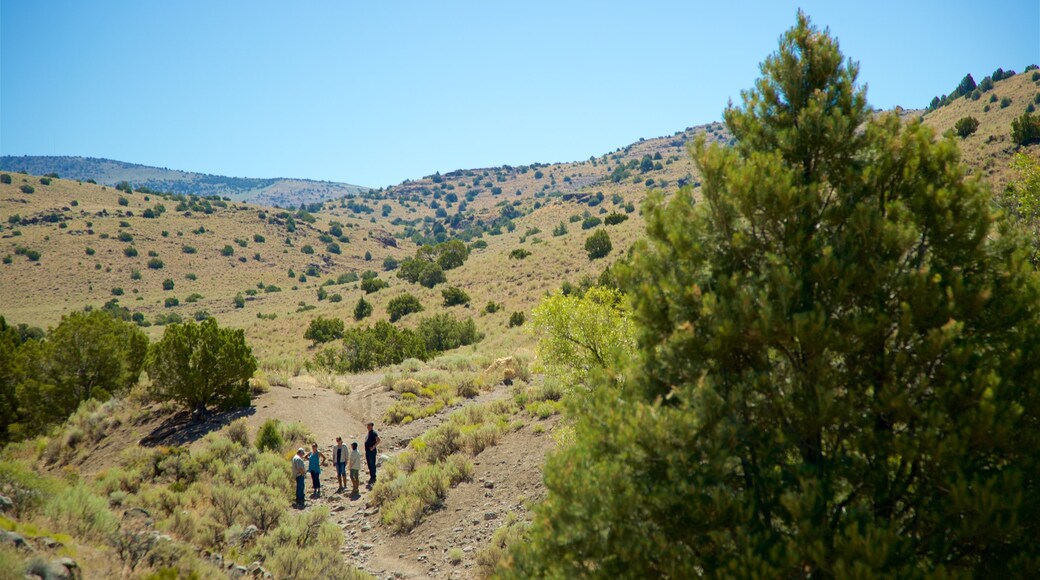 Nevada mostrando escenas tranquilas y vista panorámica y también un pequeño grupo de personas