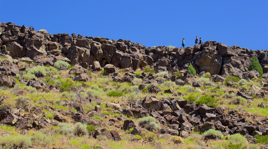 Western Nevada