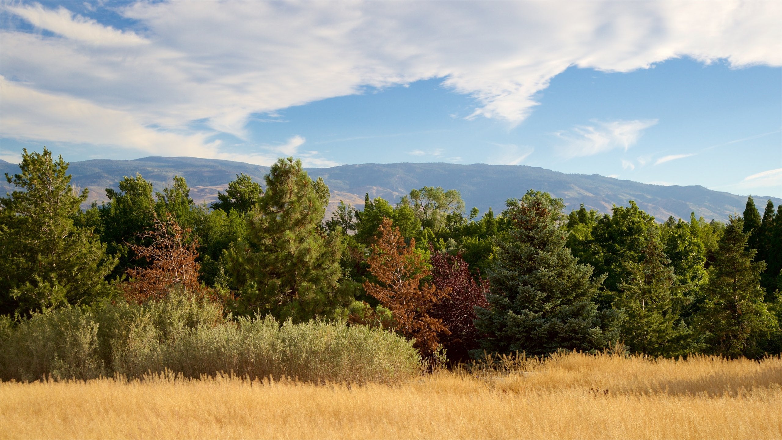 Rancho San Rafael Park Vacation Rentals house rentals & more Vrbo