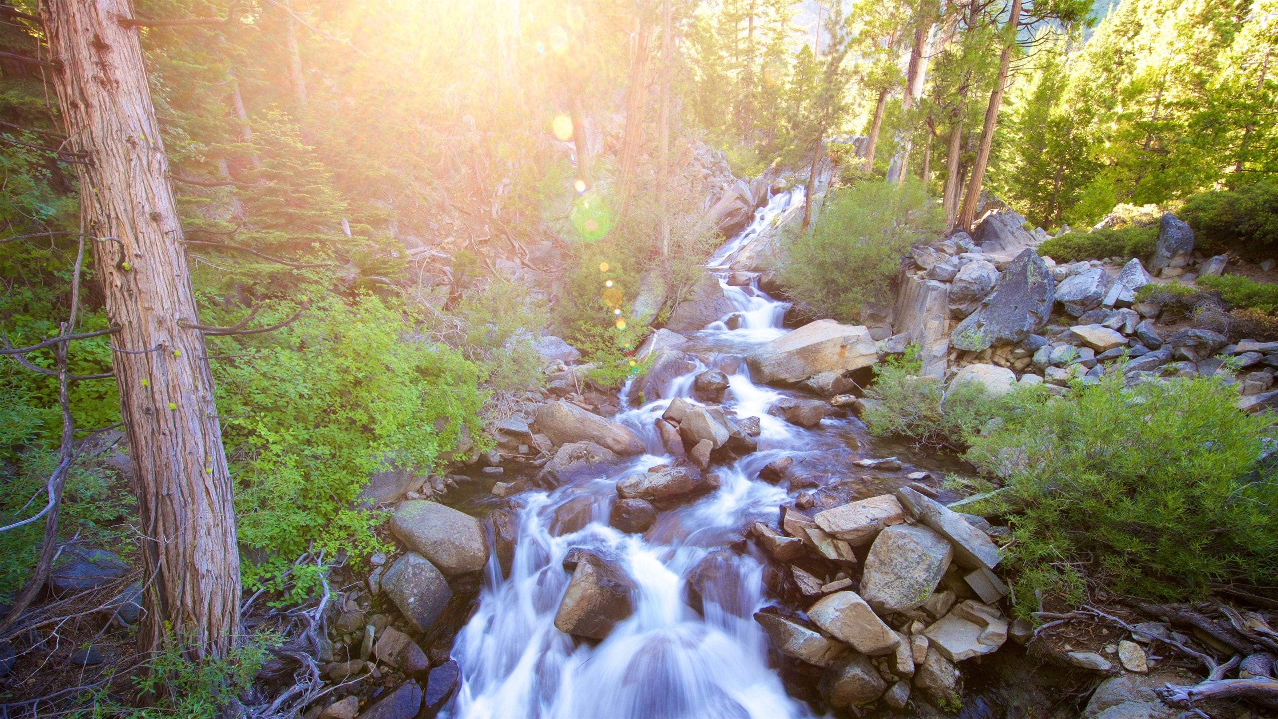 Top 20 Northern California, US beach vacation rentals Vrbo