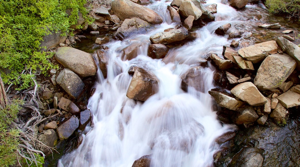 Eagle Falls Trail featuring a river or creek