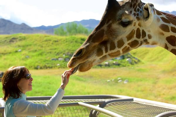 Living Desert Zoo and Gardens