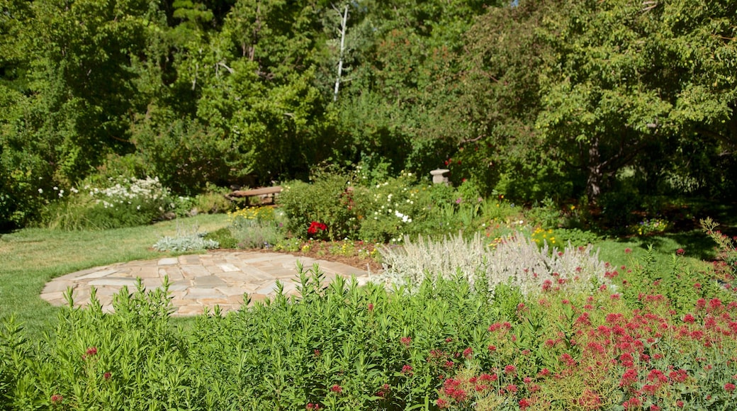 Rancho San Rafael Park inclusief wilde bloemen en een park