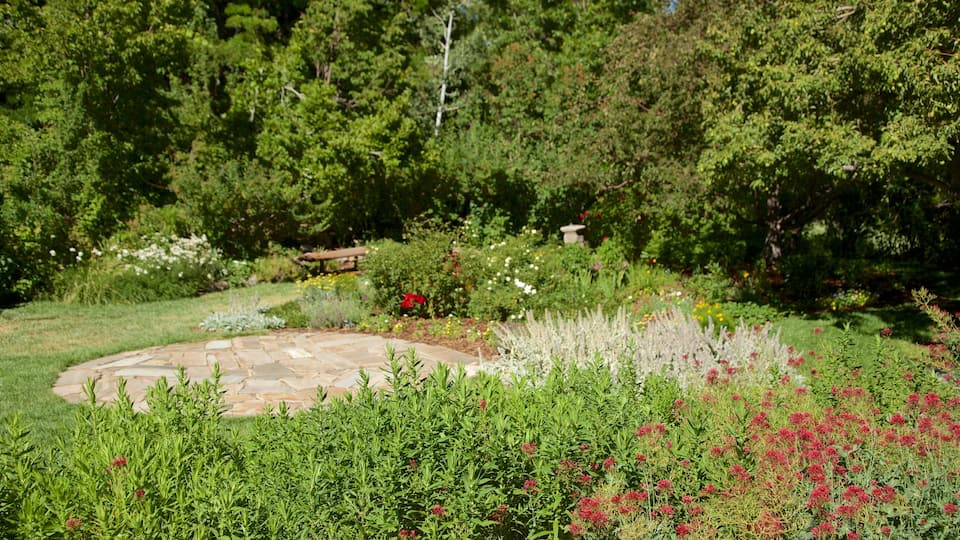 Rancho San Rafael Park