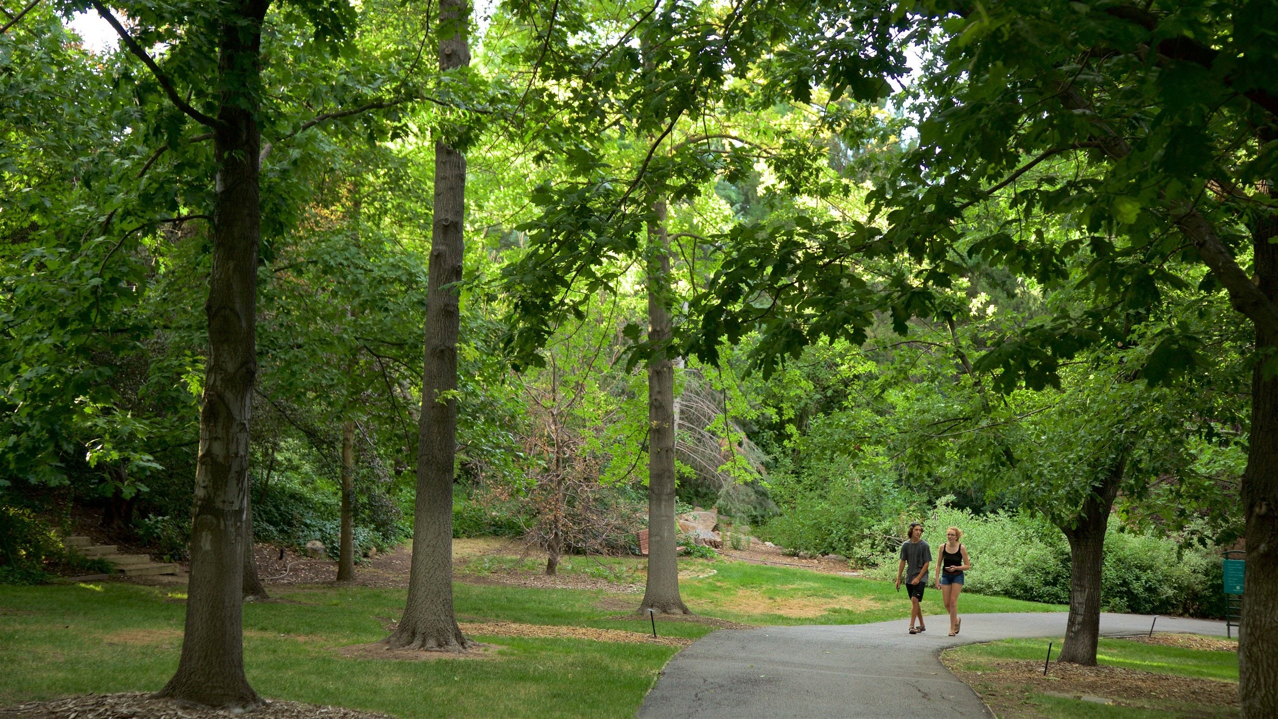 Vacation Homes near Rancho San Rafael Park, West University House