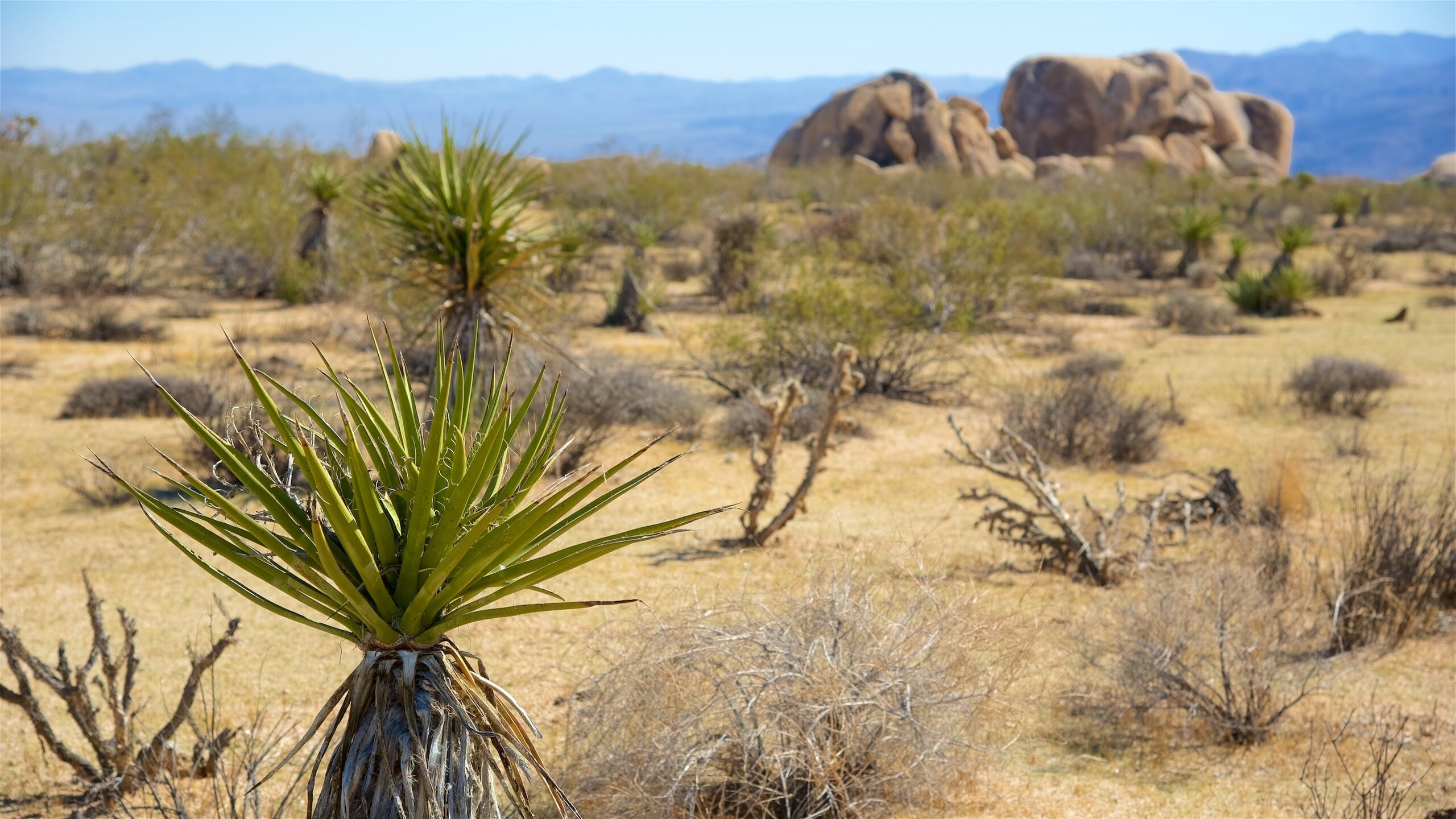 Visit Riverside County 2023 Travel Guide for Riverside County