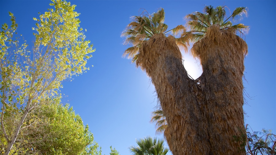 Riverside County