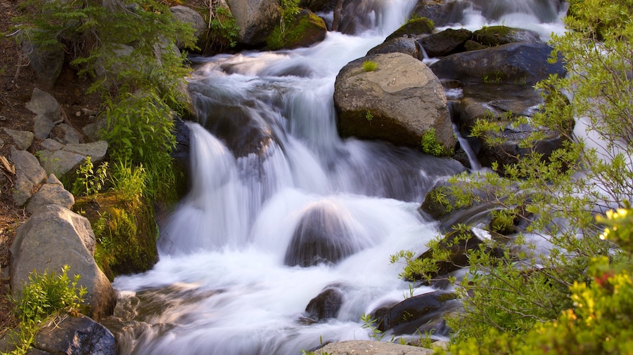 Mill Creek