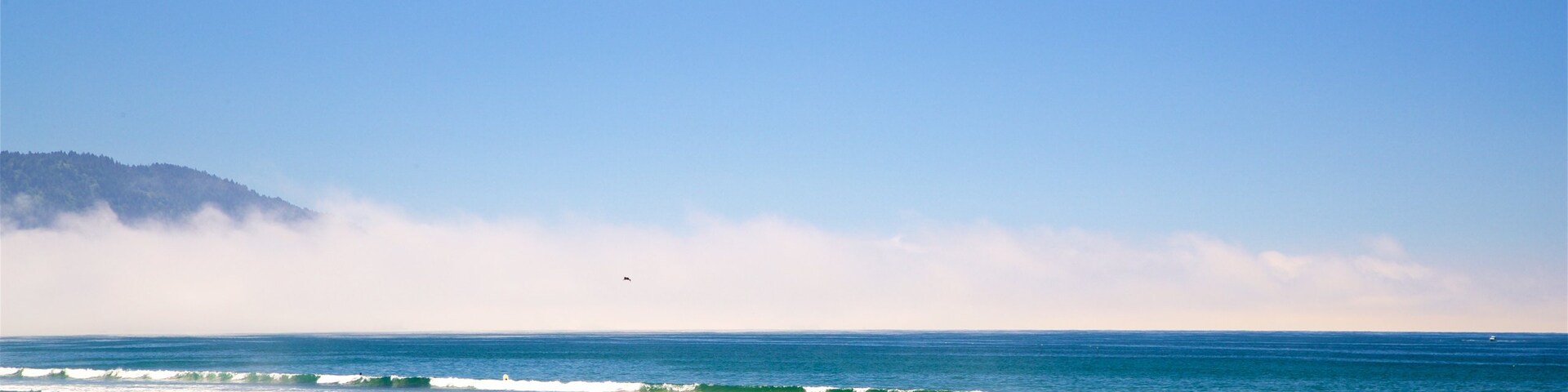 尤里卡, 加利福尼亞, 美國