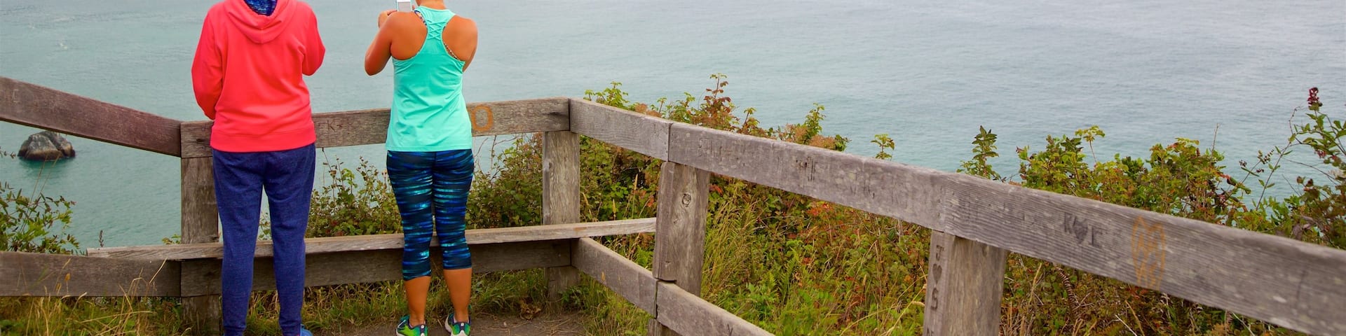 Klamath River Overlook showing general coastal views and views as well as a couple