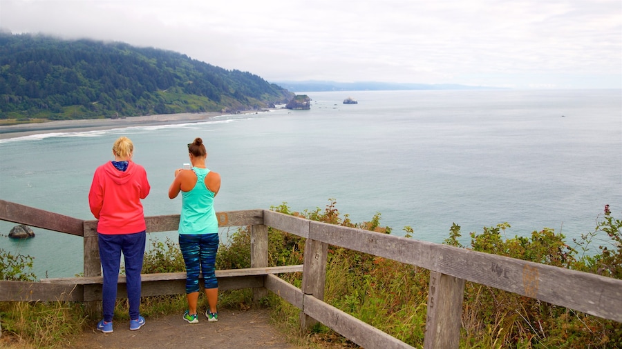 Klamath River Overlook