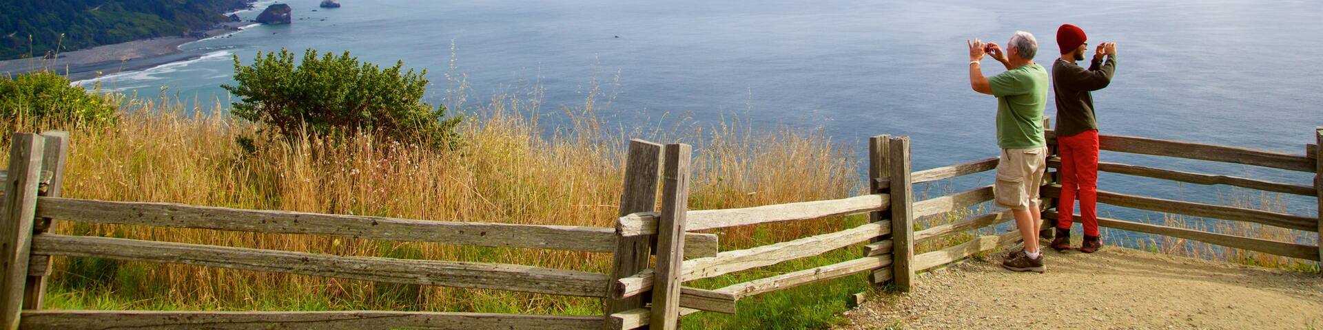 Klamath River Overlook showing views and general coastal views as well as a couple