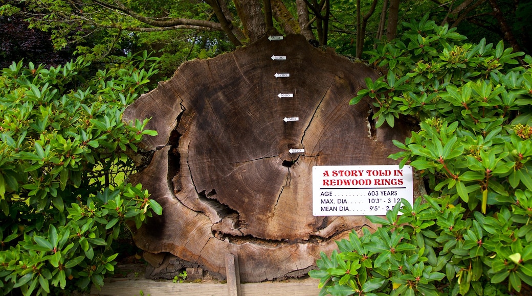 Parques nacionales y estatales Redwood ofreciendo paisajes forestales y señalización