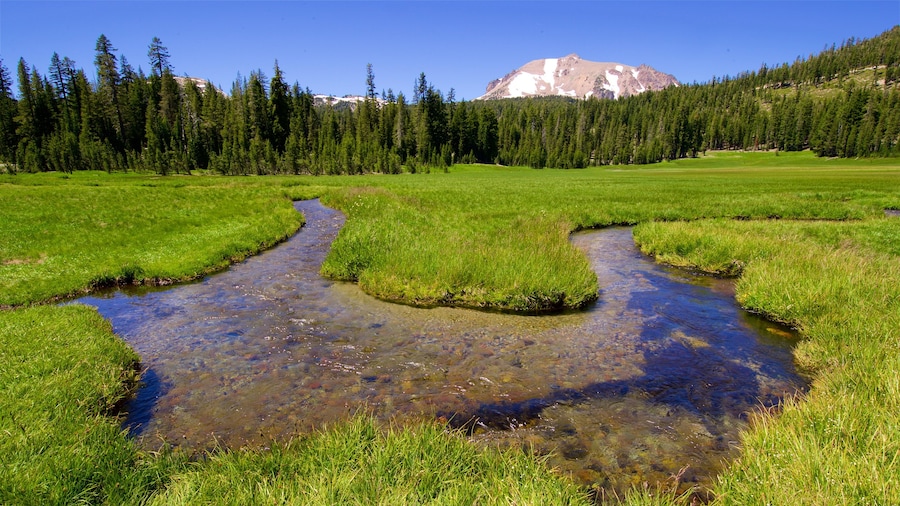 Mill Creek