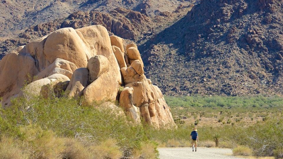 Joshua Tree National Park