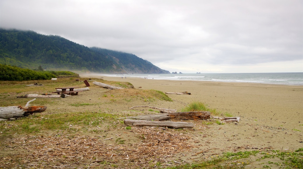 Parque nacional y parques estatales de Redwood ofreciendo vista general a la costa y una playa de arena