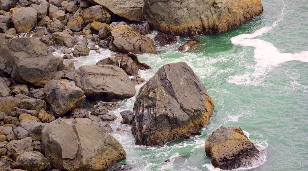 Redwood National and State Parks showing rugged coastline