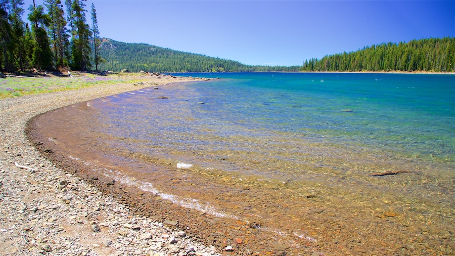 Juniper Lake