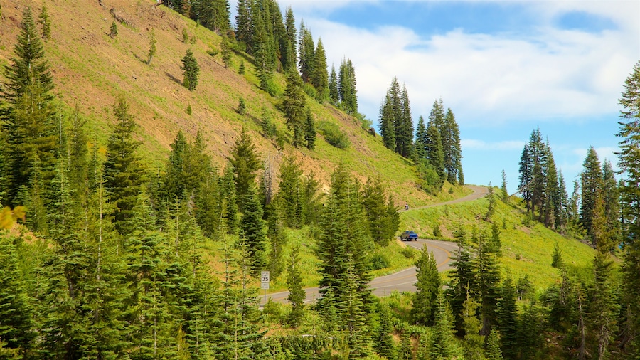 Northern Interior California featuring tranquil scenes
