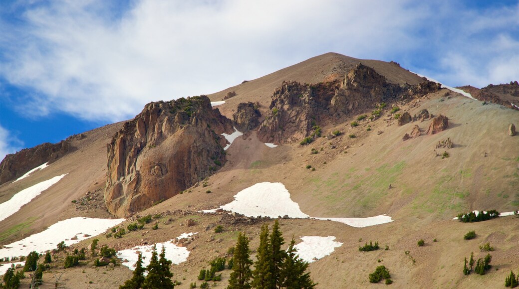 Mill Creek mostrando nieve y montañas