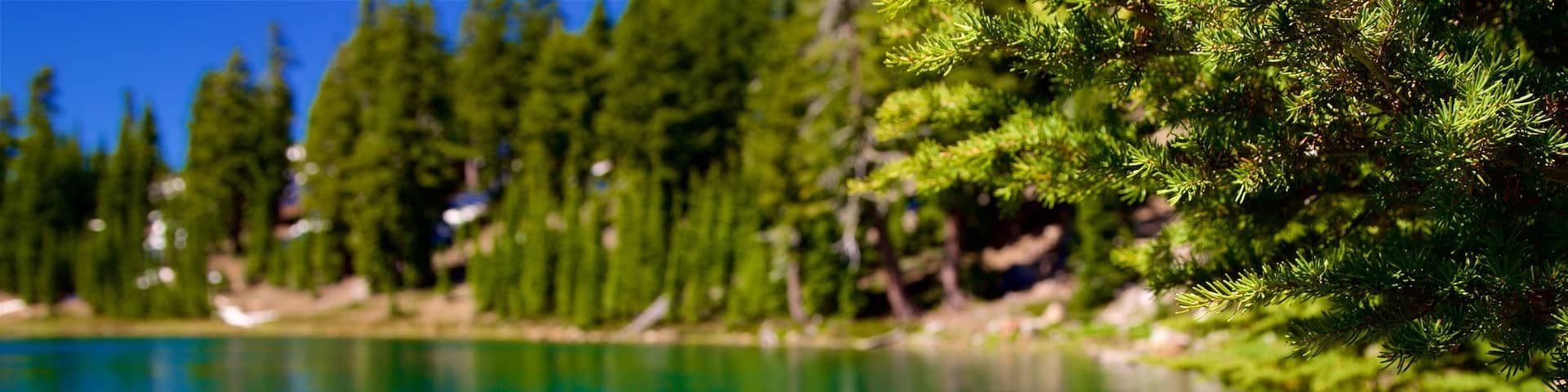 Mill Creek featuring a lake or waterhole and tranquil scenes