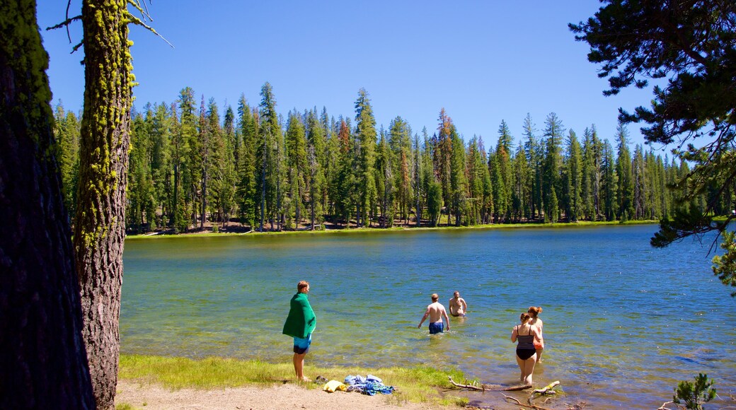 Mill Creek showing swimming and a lake or waterhole as well as a small group of people