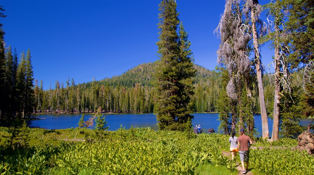 Mill Creek showing tranquil scenes and a lake or waterhole as well as a couple