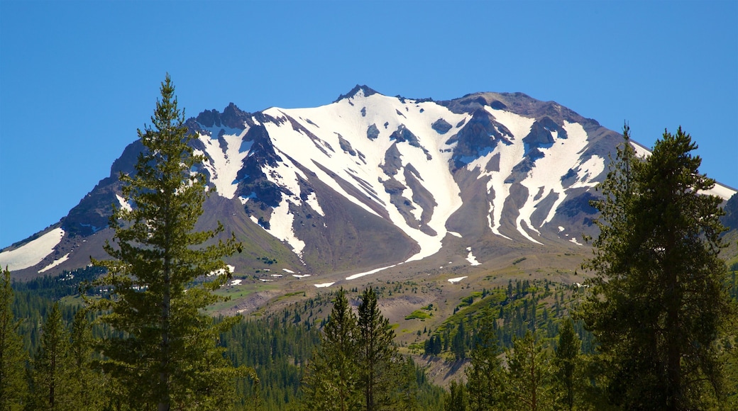 Mill Creek ofreciendo nieve, montañas y escenas tranquilas
