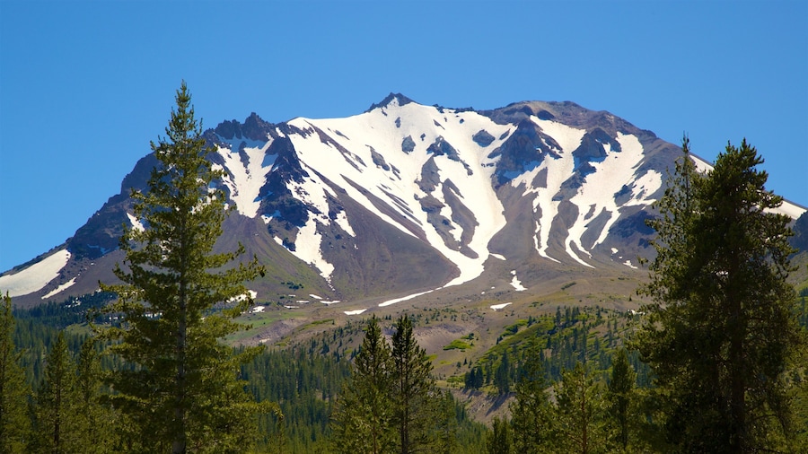 Mill Creek featuring tranquil scenes, mountains and snow