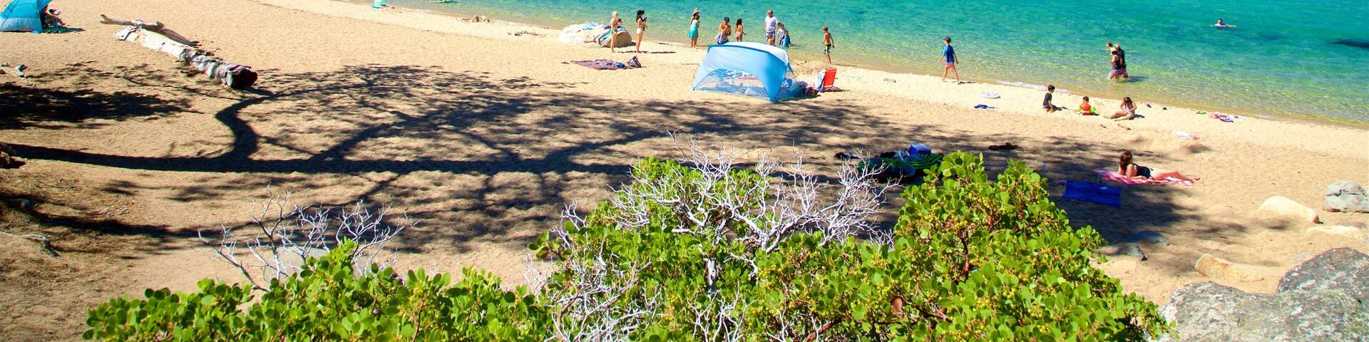 D. L. Bliss State Park showing a beach, a lake or waterhole and swimming