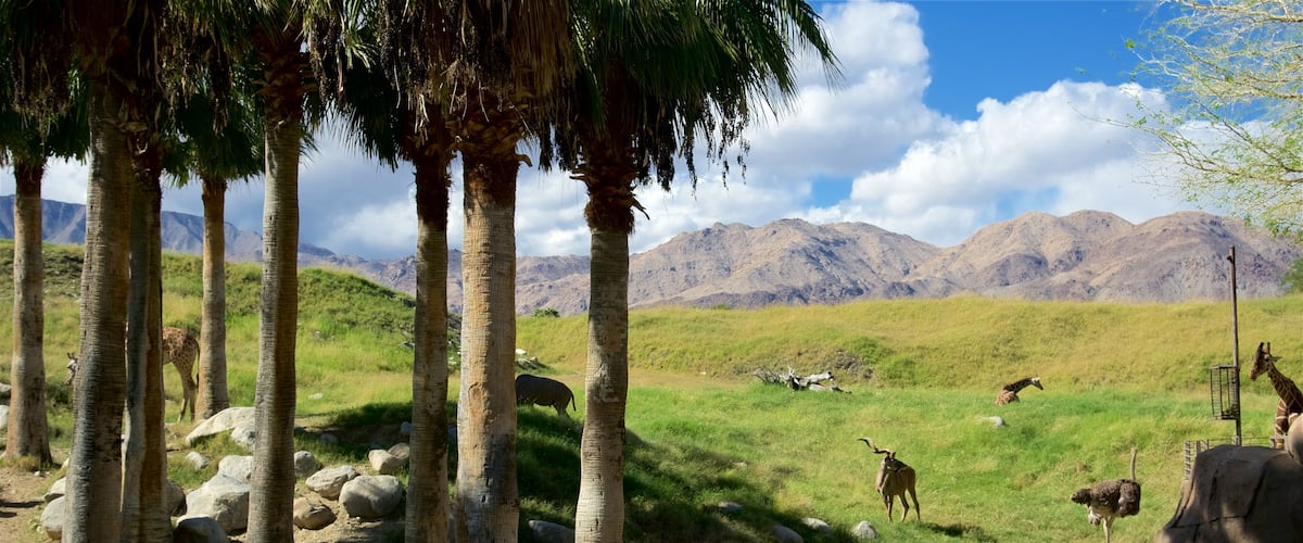 Living Desert Zoo and Gardens showing dangerous animals, a park and zoo animals