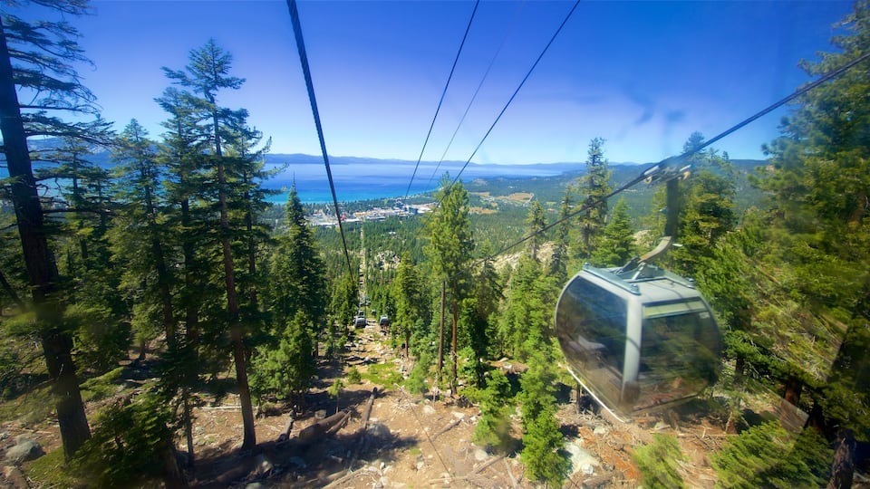 Heavenly Mountain Gondola showing tranquil scenes and a gondola