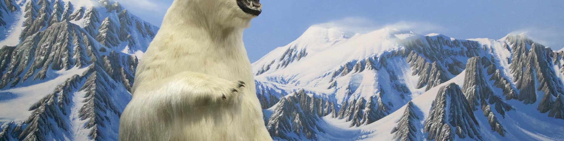 Wilbur D. May Center featuring dangerous animals