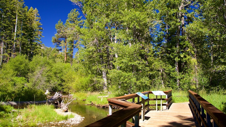 Centro de visitantes de Taylor Creek que incluye un puente, un río o arroyo y bosques