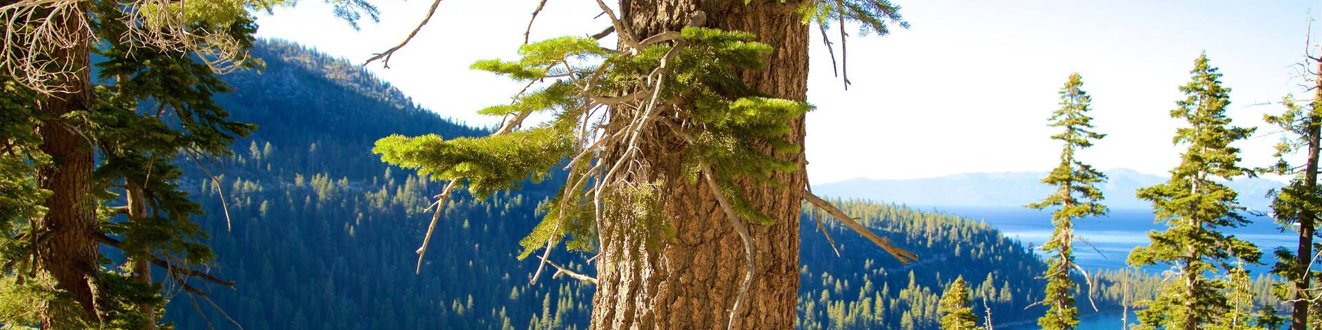 Inspiration Point Vista showing tranquil scenes and a lake or waterhole