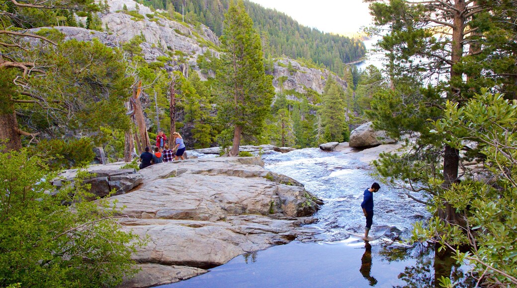 Vikingsholm Castle which includes a river or creek and forest scenes as well as a family