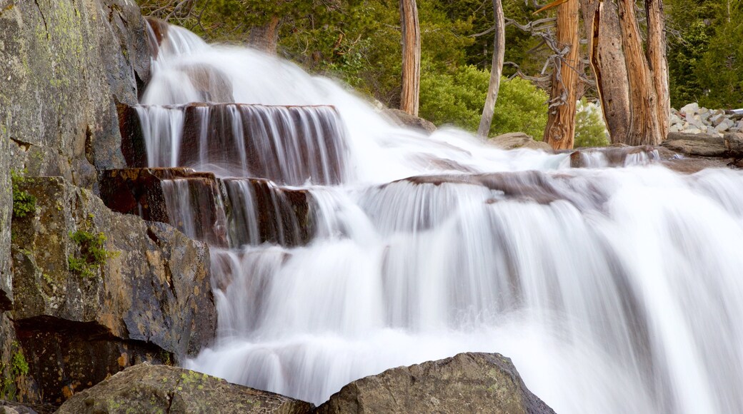 Vikingsholm Castle featuring a waterfall