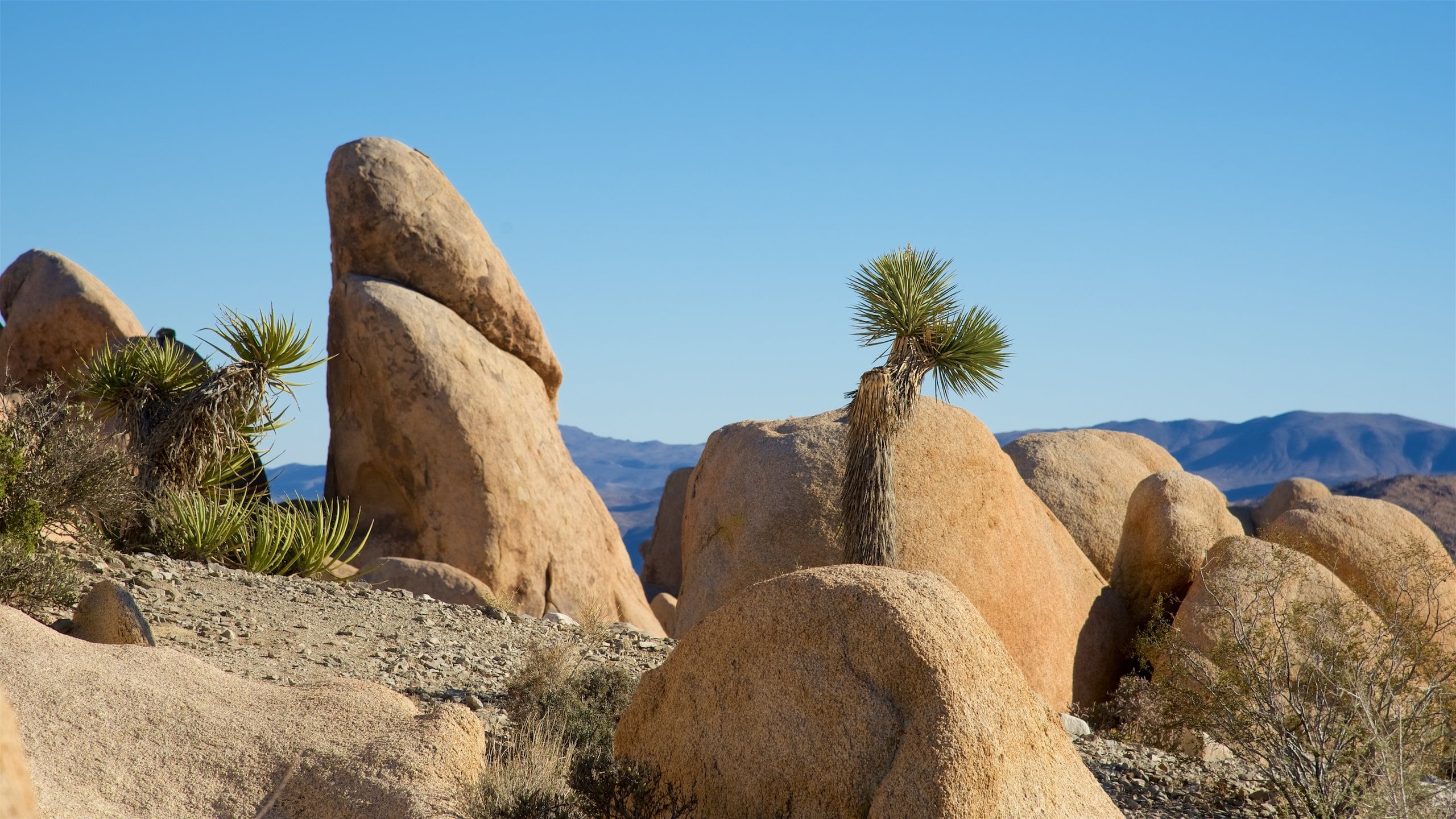 Famous Rocks In California