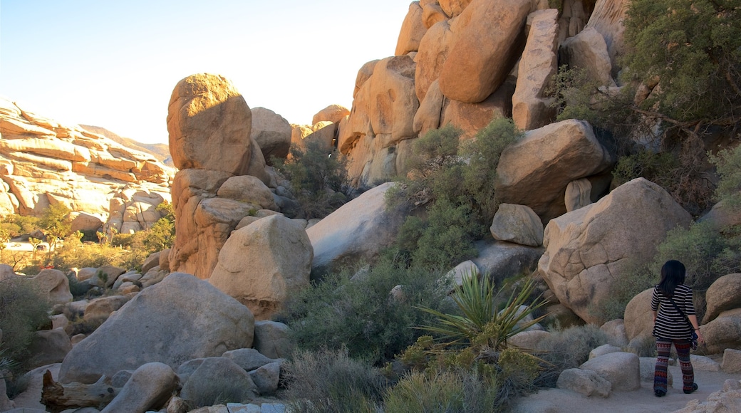 Joshua Tree National Park which includes hiking or walking as well as an individual femail