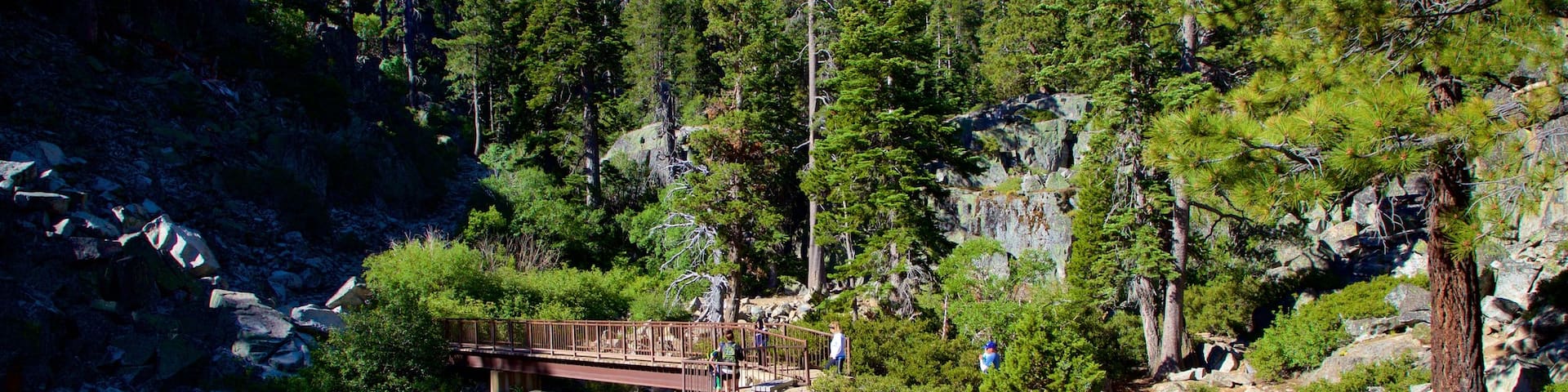 South Lake Tahoe which includes hiking or walking, a bridge and forests