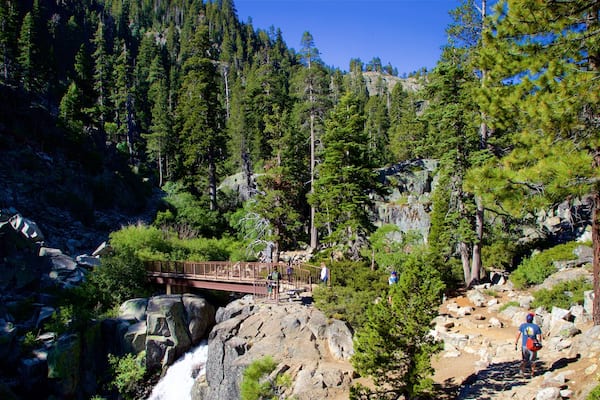 South Lake Tahoe caracterizando escalada ou caminhada, uma ponte e cenas de floresta