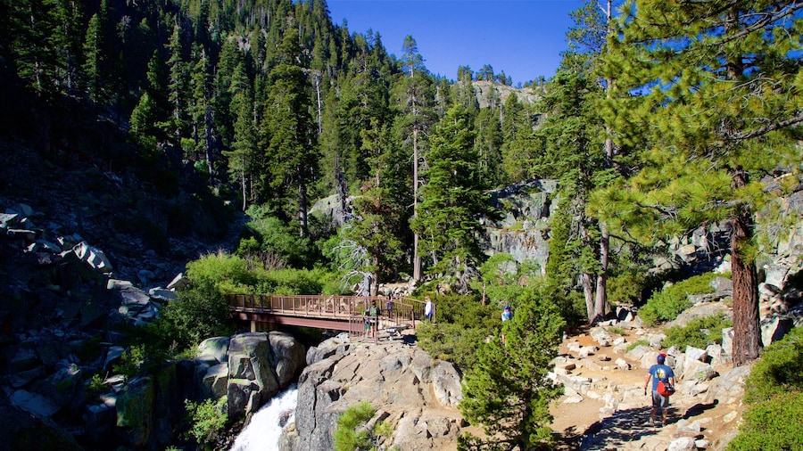 Lago Tahoe sur ofreciendo caminatas, un puente y imágenes de bosques