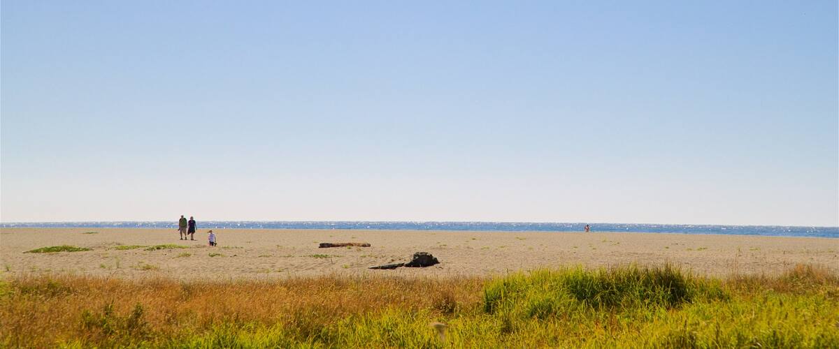 Gold Bluffs Beach which includes a beach, landscape views and general coastal views