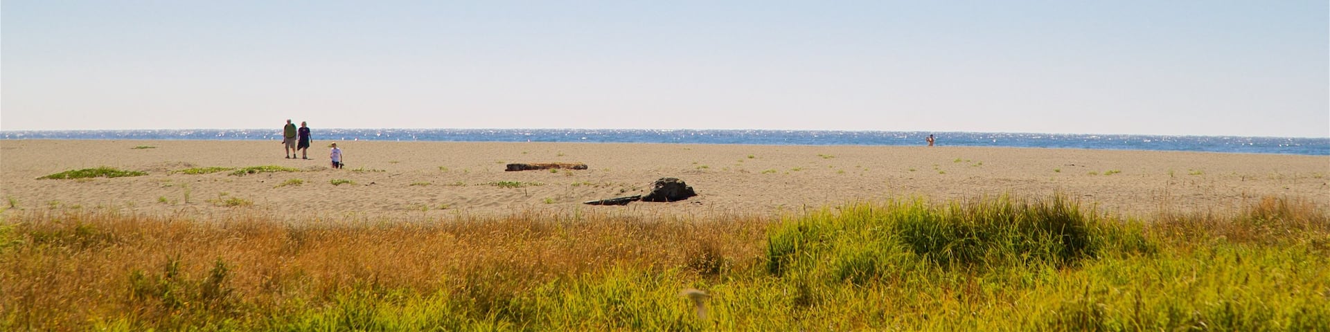 Gold Bluffs Beach which includes a beach, landscape views and general coastal views