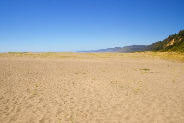 Redwood National and State Parks showing landscape views and a sandy beach