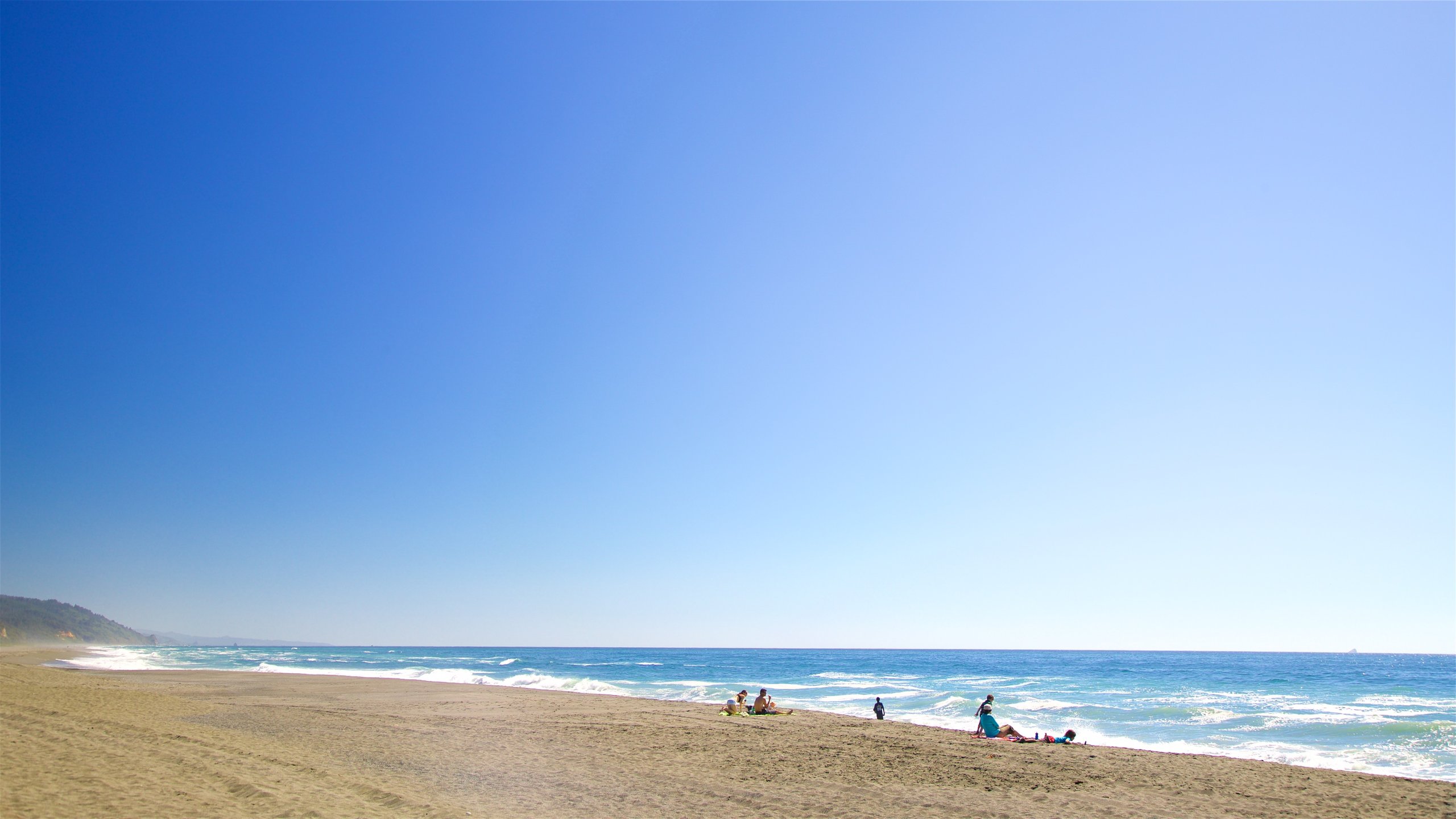 Redwood National and State Parks featuring a beach as well as a small group of people