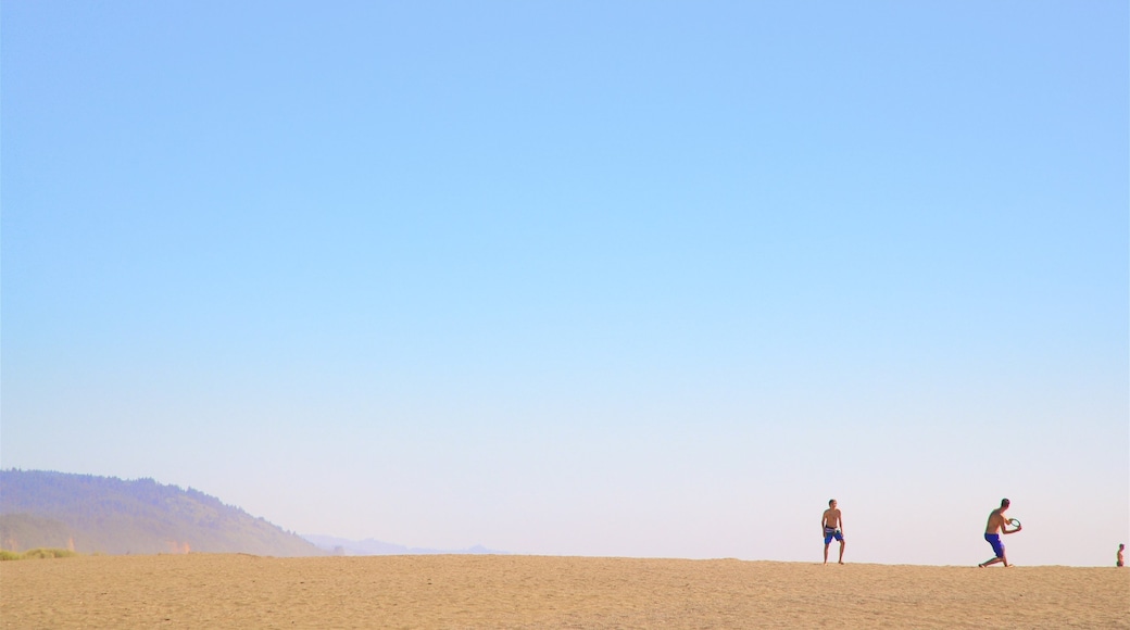 Gold Bluffs Beach showing landscape views, a sandy beach and general coastal views