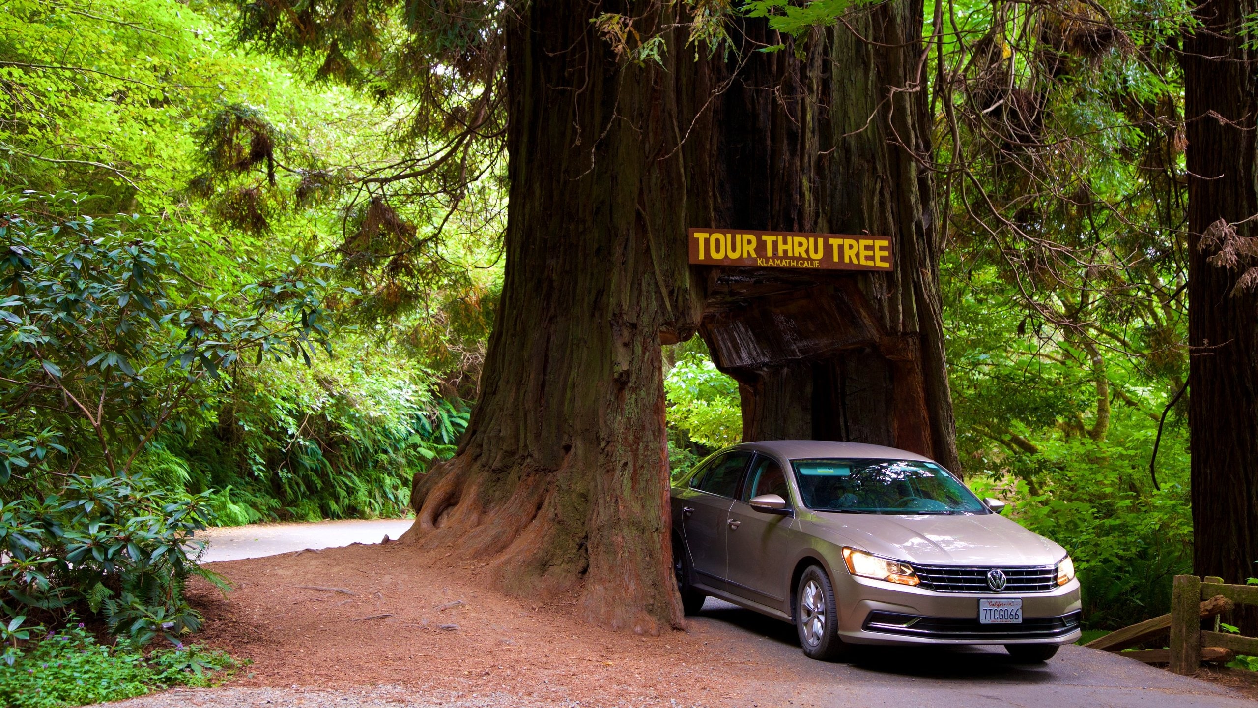 Where to Stay in Klamath Best neighborhoods Expedia